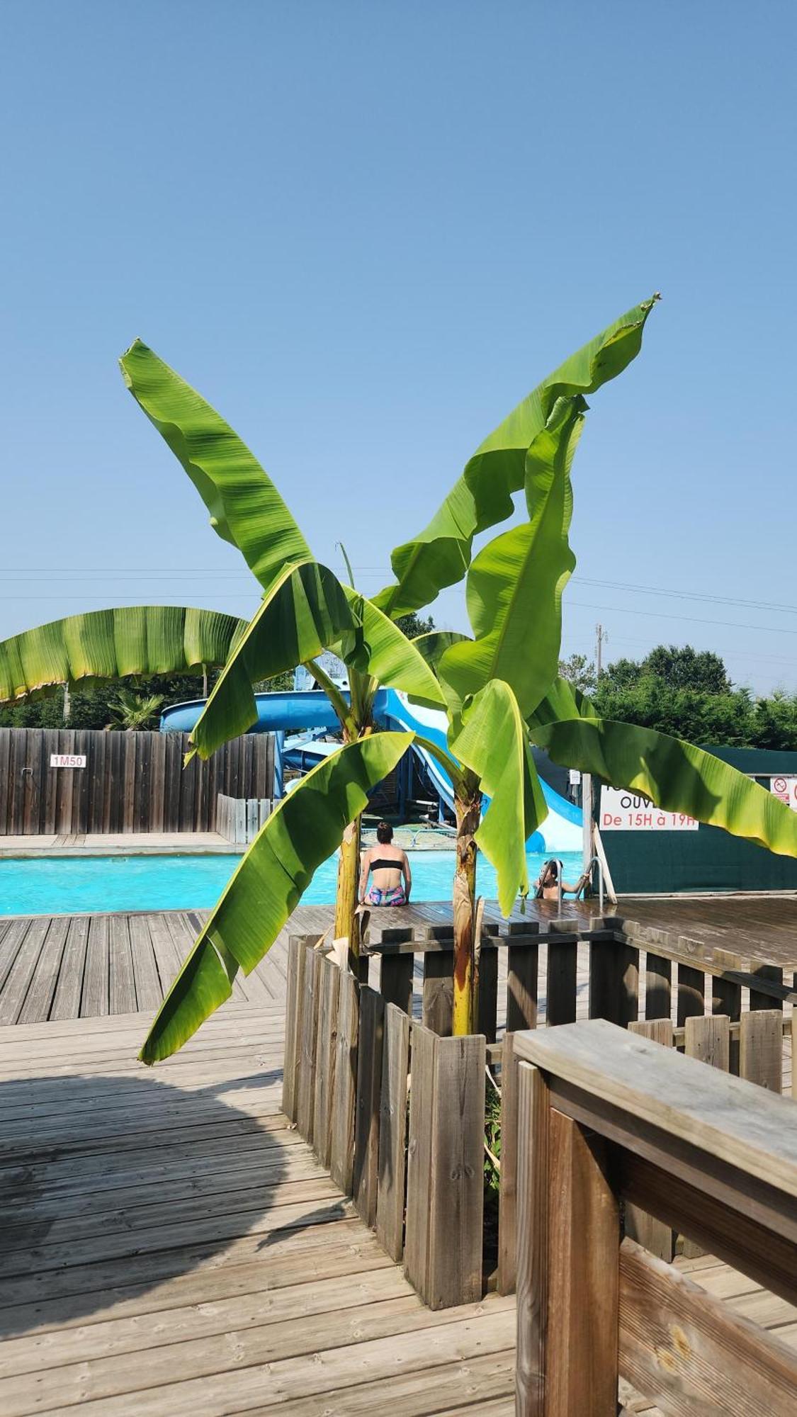 Mobil Home 6 Personnes Foret Des Landes Mimizan-Plage エクステリア 写真